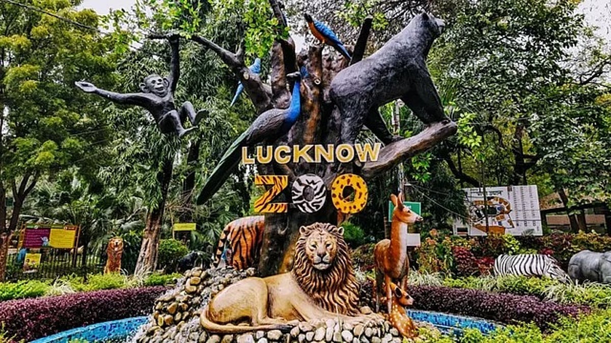 zoo-lko-amusement-nature-wild-animal 