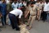 ‘वर्दी का सम्मान करो’ कहते-कहते बीच सड़क लेट गया PRD जवान! कन्नौज में VIDEO वायरल, मेडिकल के बाद होगा एक्शन