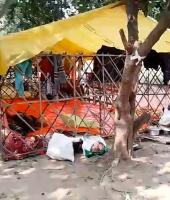 LDA कॉलोनी के पार्क पर अवैध कब्जा, भ्रष्टाचार की भेंट चढ़ा सौंदर्यीकरण बजट