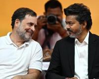 2029 में कौन बनेगा PM—राहुल गांधी या विजय? TVK विधायक के नए बयान ने बढ़ाई कांग्रेस की बेचैनी