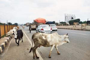 उत्तर प्रदेश नगर विकास विभाग ने दिये अधिकारियों को निर्देश
