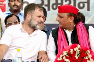 UP Election 2027: सपा से कांग्रेस ने मांगी अपनी पसंद की सीटें! 150 से 200 तक की दावेदारी के बीच अखिलेश के सामने नई चुनौती